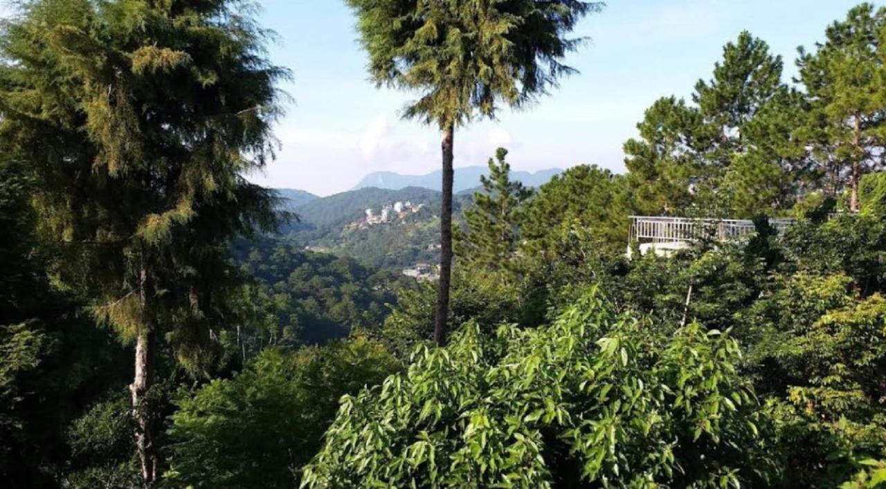 Villa Dieu Thong - Secrect Garden, View San May Va Nui Da Lat Exterior photo
