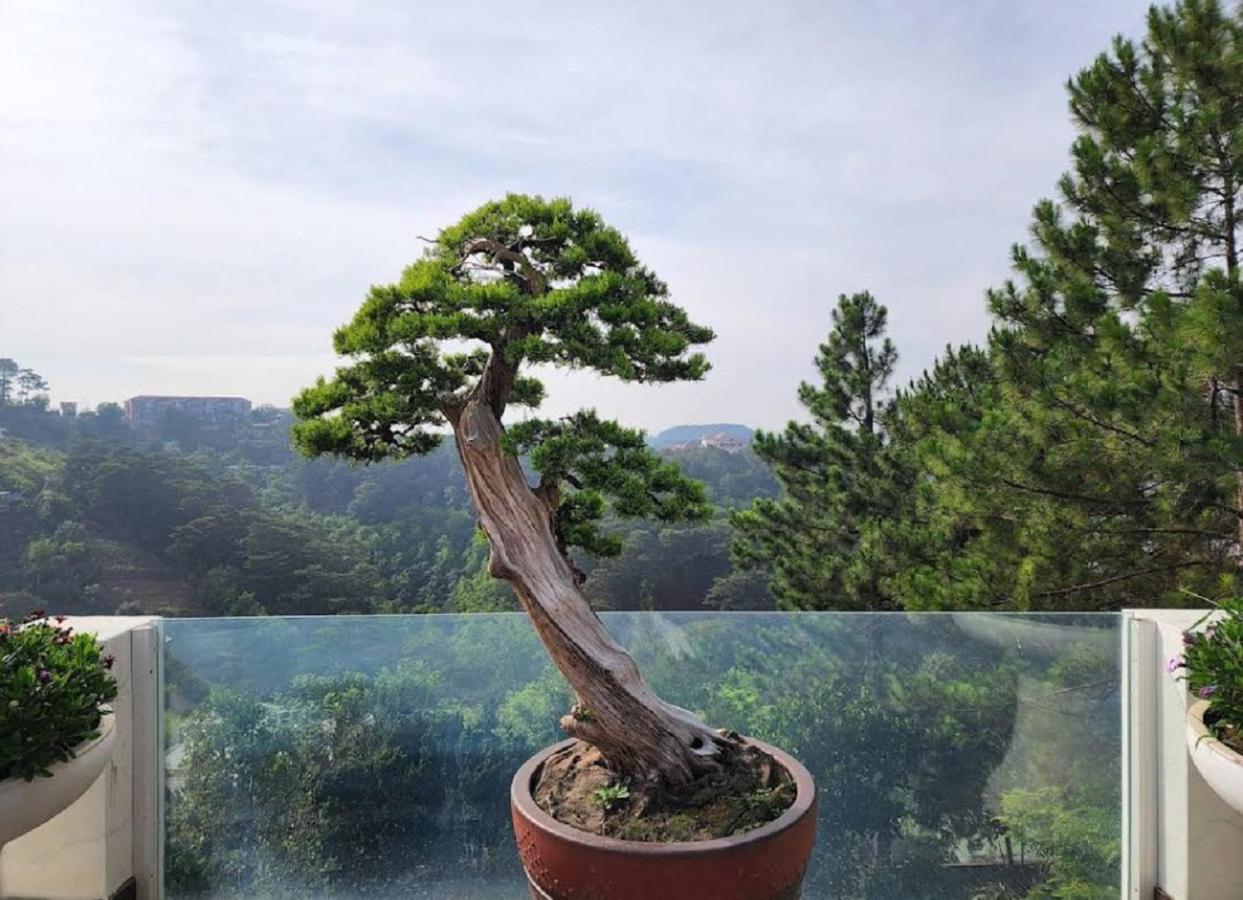 Villa Dieu Thong - Secrect Garden, View San May Va Nui Da Lat Exterior photo