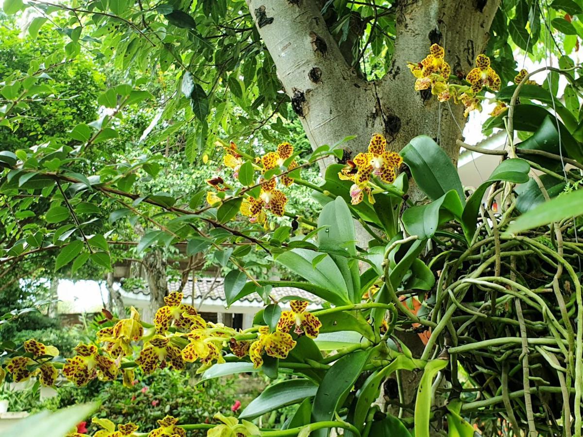Villa Dieu Thong - Secrect Garden, View San May Va Nui Da Lat Exterior photo